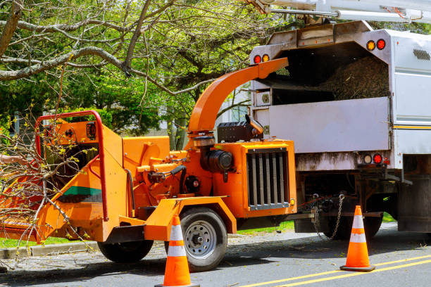  Meeker, CO Tree Services Pros